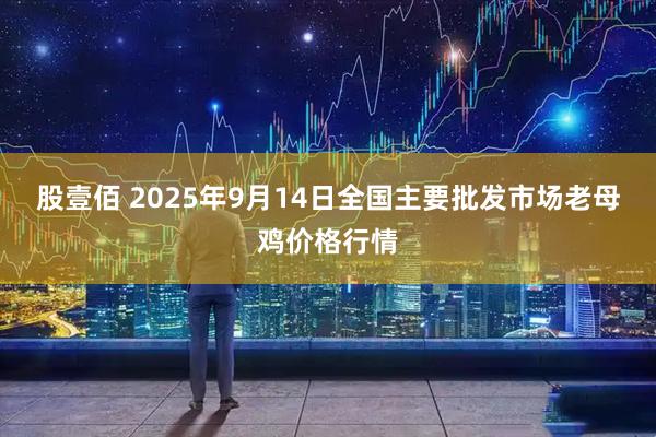 股壹佰 2025年9月14日全国主要批发市场老母鸡价格行情