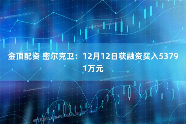金顶配资 密尔克卫：12月12日获融资买入53791万元
